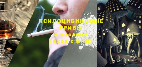 тгк Михайлов