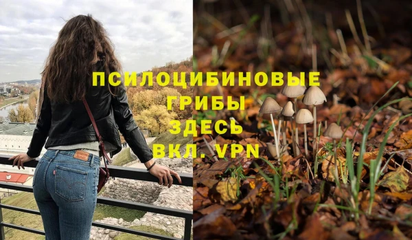 тгк Михайловск