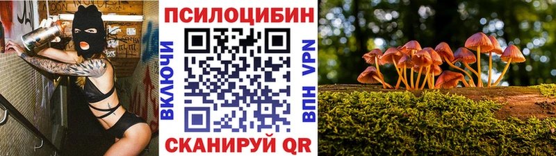 Псилоцибиновые грибы прущие грибы  цена   Комсомольск-на-Амуре 
