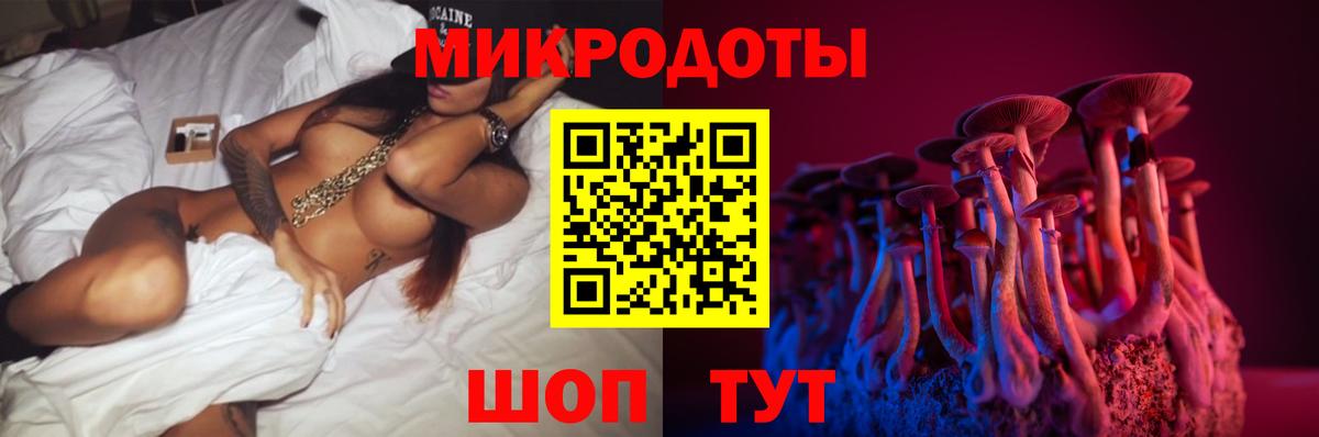 Комсомольск-на-Амуре  Псилоцибиновые грибы Psilocybe  Вход с VPN 